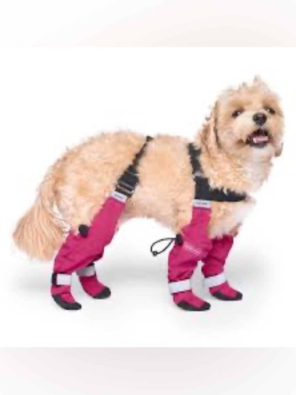 Canada pooch suspender winter dog boots
